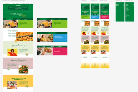 Data Visualization Product Design project