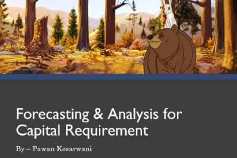 Forecasting & Sensitivity Analysis for Ascertaining Capital Requirement project