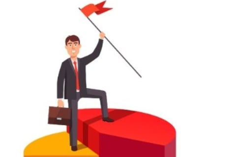 15-20% Market Share Growth Across Categories for a Fortune 500 Company project