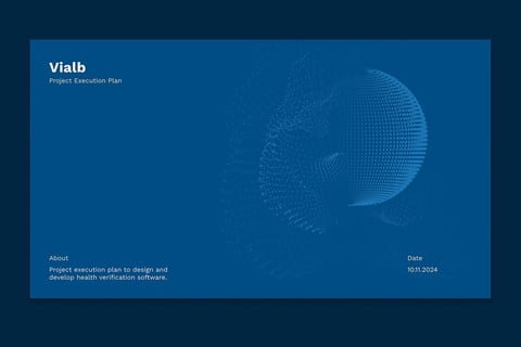 Vialb Project Execution Plan project