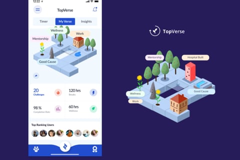 TopVerse project