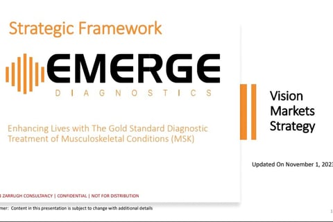 Strategic Framework project