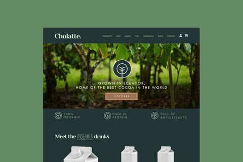 Website Design for Cholatte project