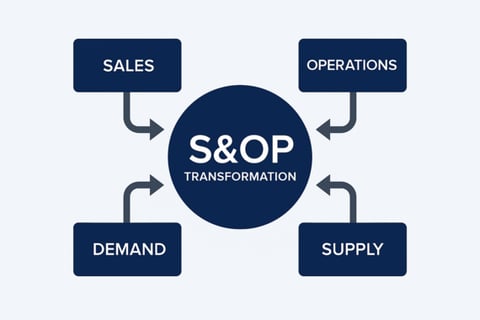 S&OP Transformation project