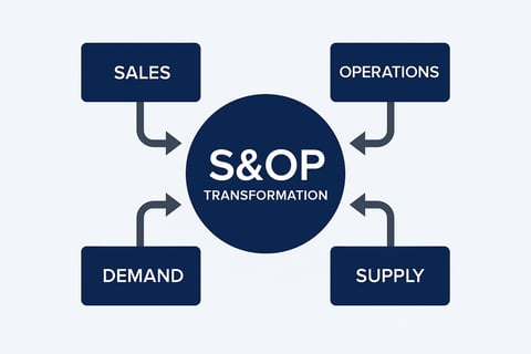 S&OP Transformation project