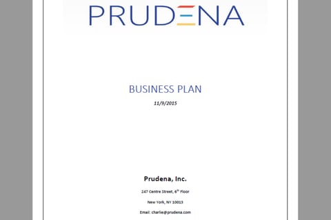 Prudena Business Plan project