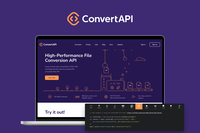 Redesign That Helped ConvertAPI Win Over Major Brands