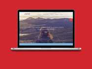 Financial Transaction Security Firm Website