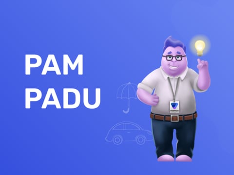 Pampadu project