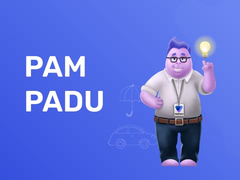 Pampadu project