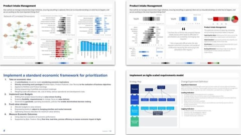 Organizational Assessment Process Improvement Service project