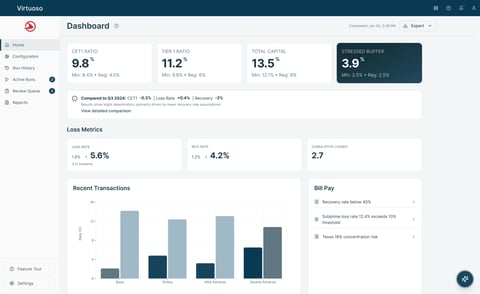 Capital One Risk Management Platform project