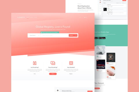 Losty project