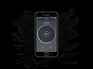 DISCOVER App