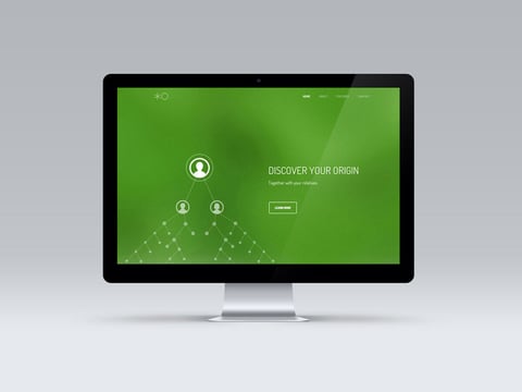 VITA INFINITA project