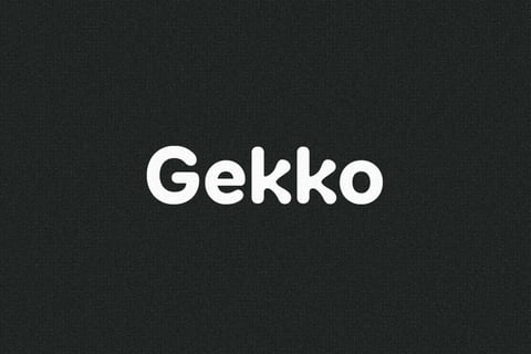 Gekko Innovations | Brand Identity Design project