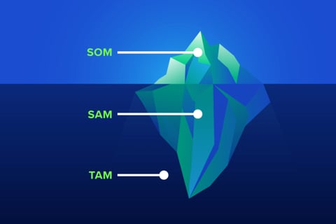 Identifying a $10 billion TAM for a Software Company project