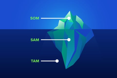 Identifying a $10 billion TAM for a Software Company project