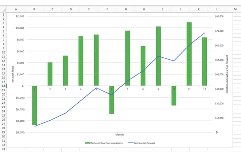2017 Cash Flow Forecast project