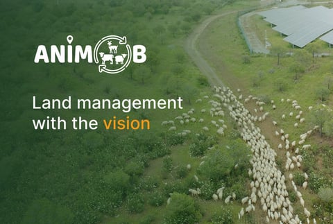 ANIMOB: Winning an Award and Clients project