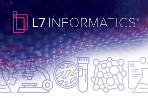 L7 Informatics Brand System project