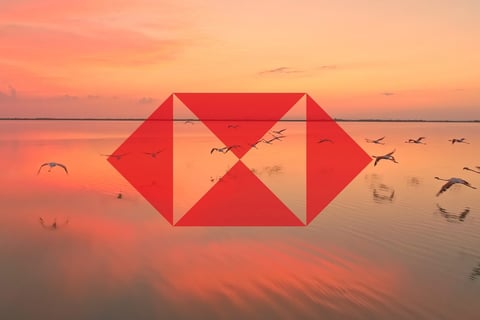 HSBC Brand Film project
