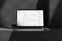 Designing a User-friendly Web App for Accountants