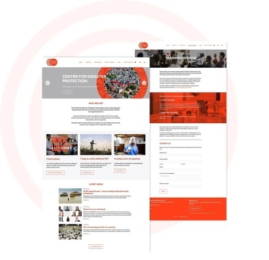 Squarespace Site Design, Development for the UK Government’s Centre for Disaster Protection project