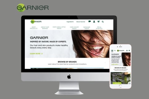 Garnier project