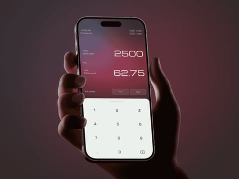 Lumina Mobile Currency Converter project