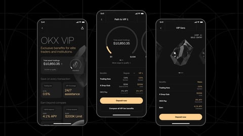 OKX VIP Program project