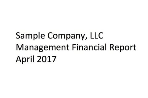 Management Financial Report project