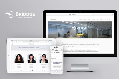Briddge project