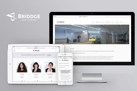 Briddge project
