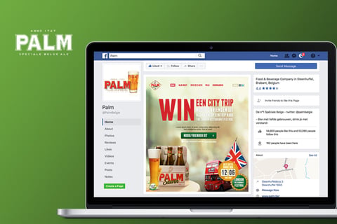 Palm Bier project