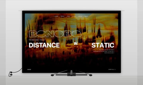 Website for A Celebrated Musical Artist project