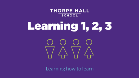 Thorpe Hall School project