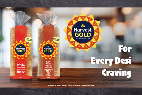 Harvest Gold Bread OLV project