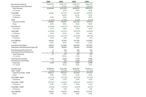 Series B VC Raise Model with Detailed Operating Metrics project