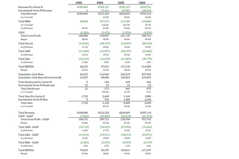Series B VC Raise Model with Detailed Operating Metrics project