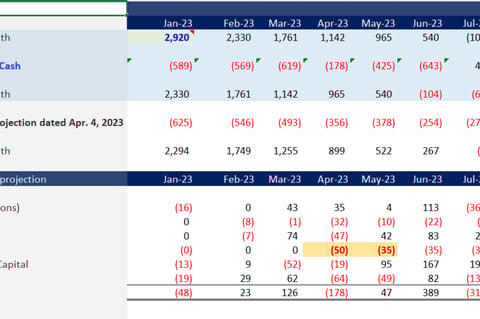13-week Cash Flow Model project