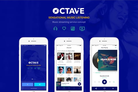 Octave project