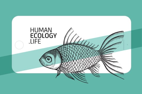 Human Ecology Life Brand project