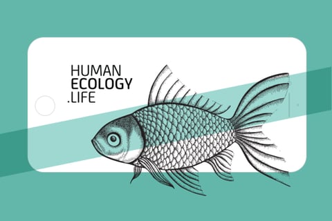 Human Ecology Life Brand project