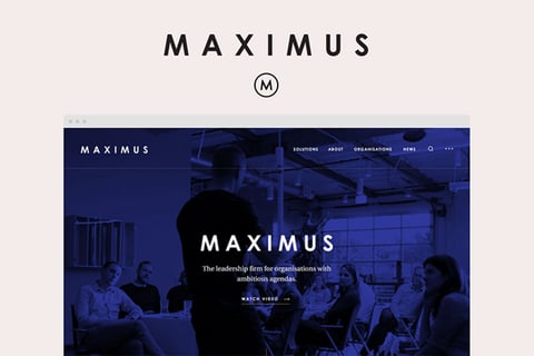 Maximus project