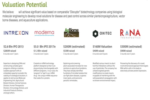 Comparative Company Analysis project