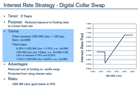 Currency and Interest Rate Hedging Strategy project