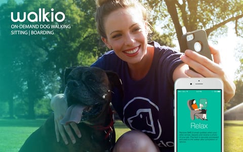 Walkio project