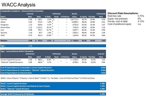 Company Valuation project