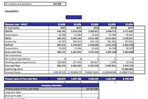 Classified Ads Financial Model project